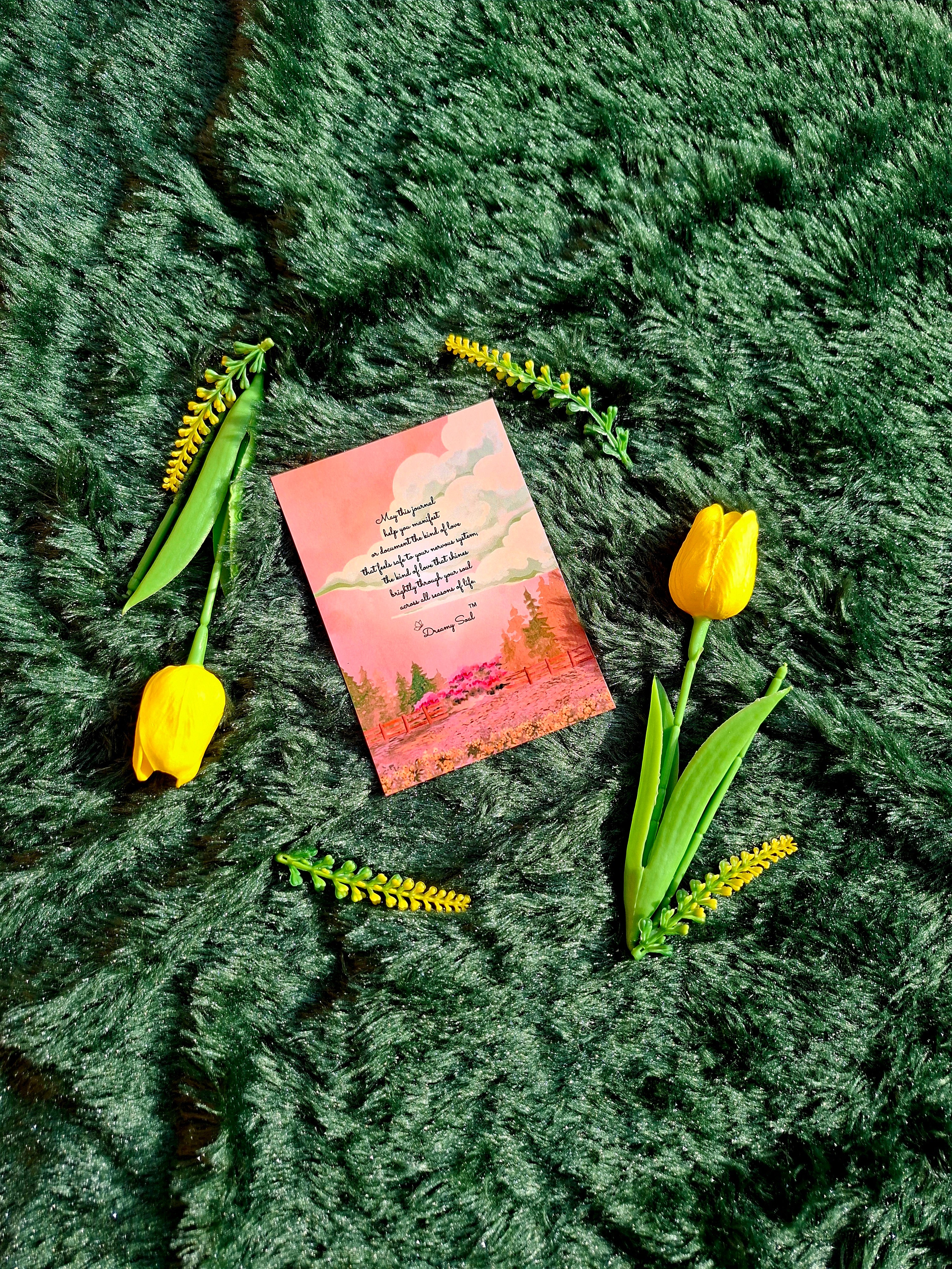 The Sanctuary of Safe Love - Spiral Notebook + Affirmation & Meditation Cards