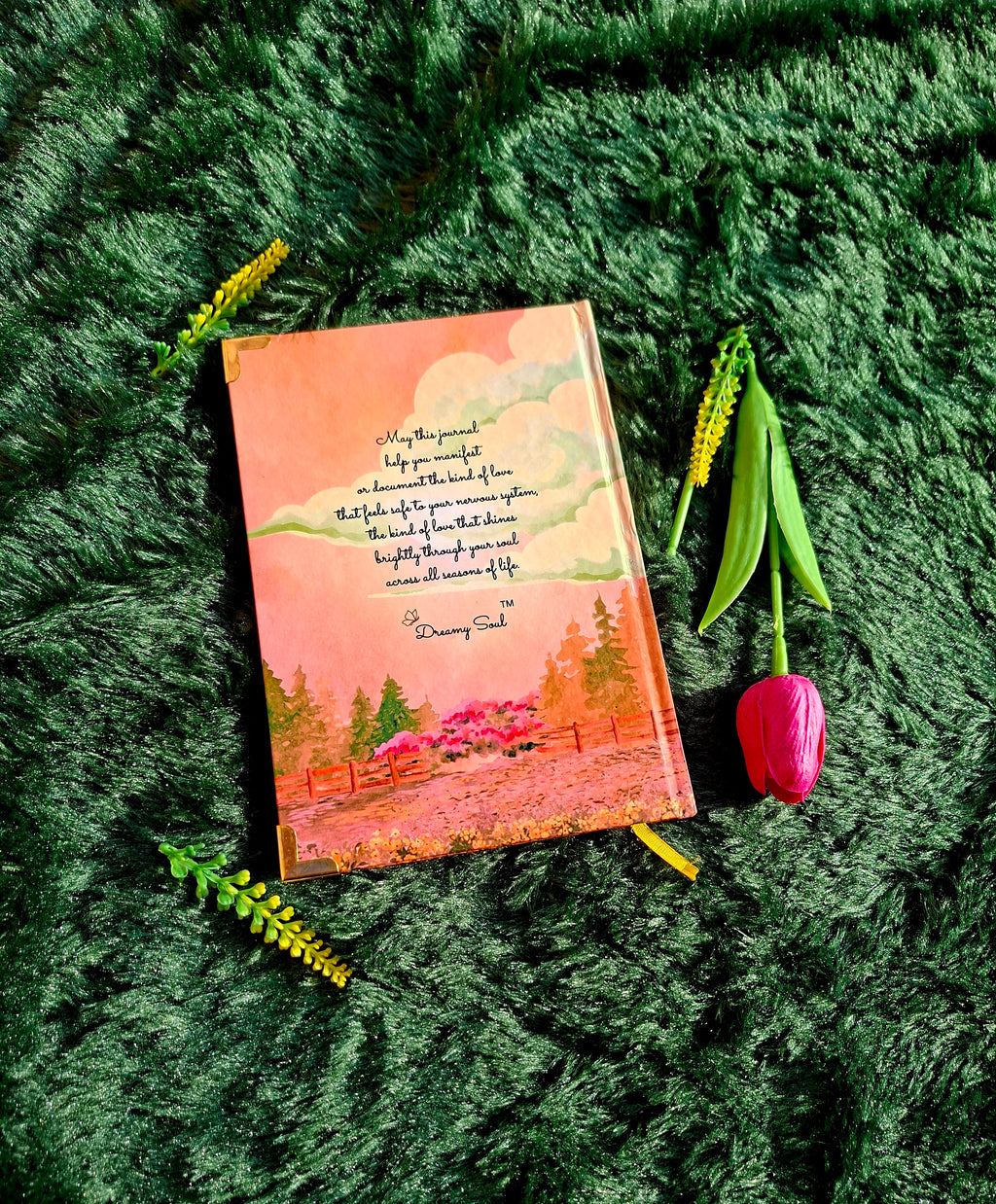 The Sanctuary of Safe Love - Executive Diary + Affirmation & Meditation Cards