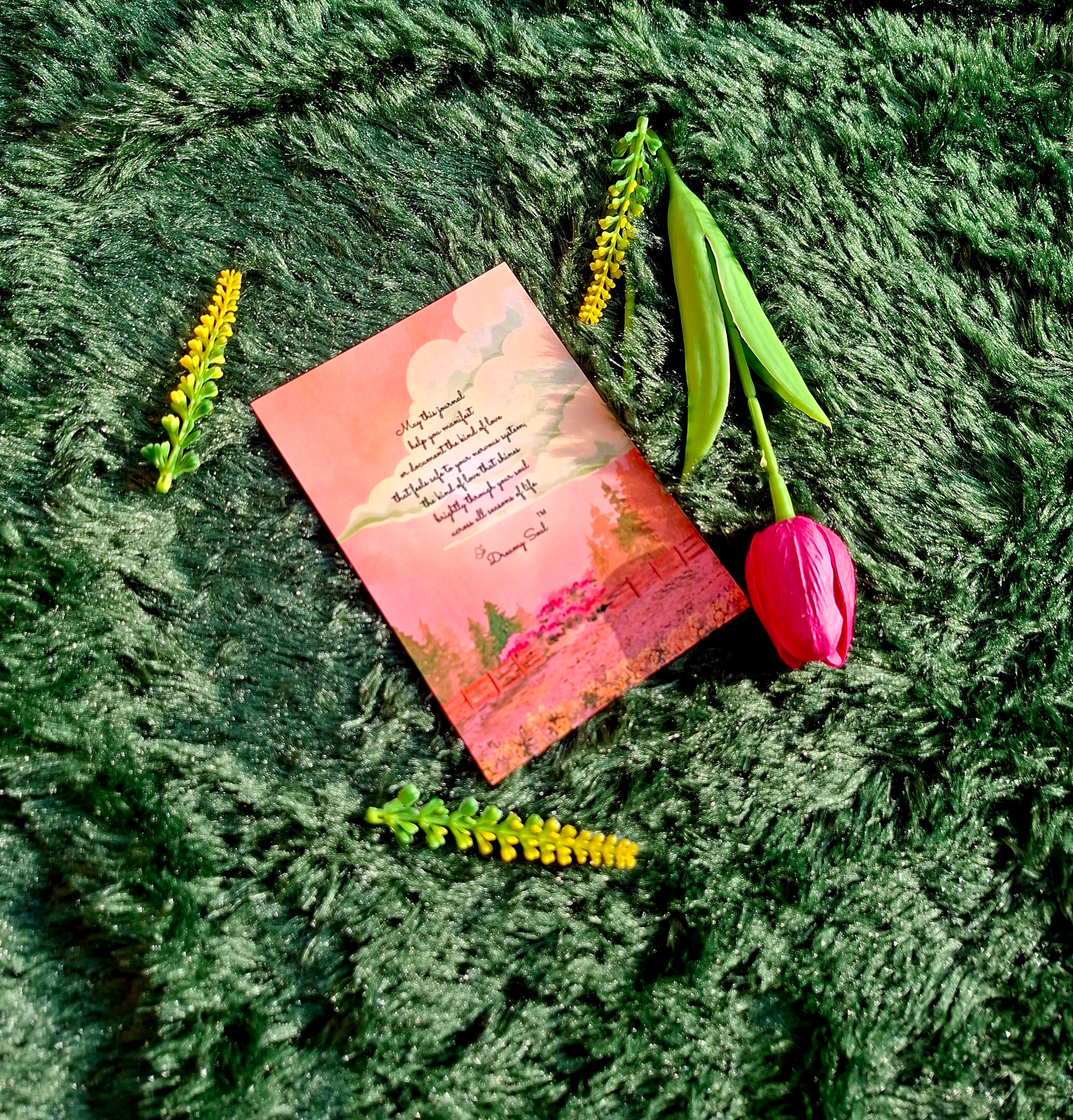 The Sanctuary of Safe Love - Executive Diary + Affirmation & Meditation Cards