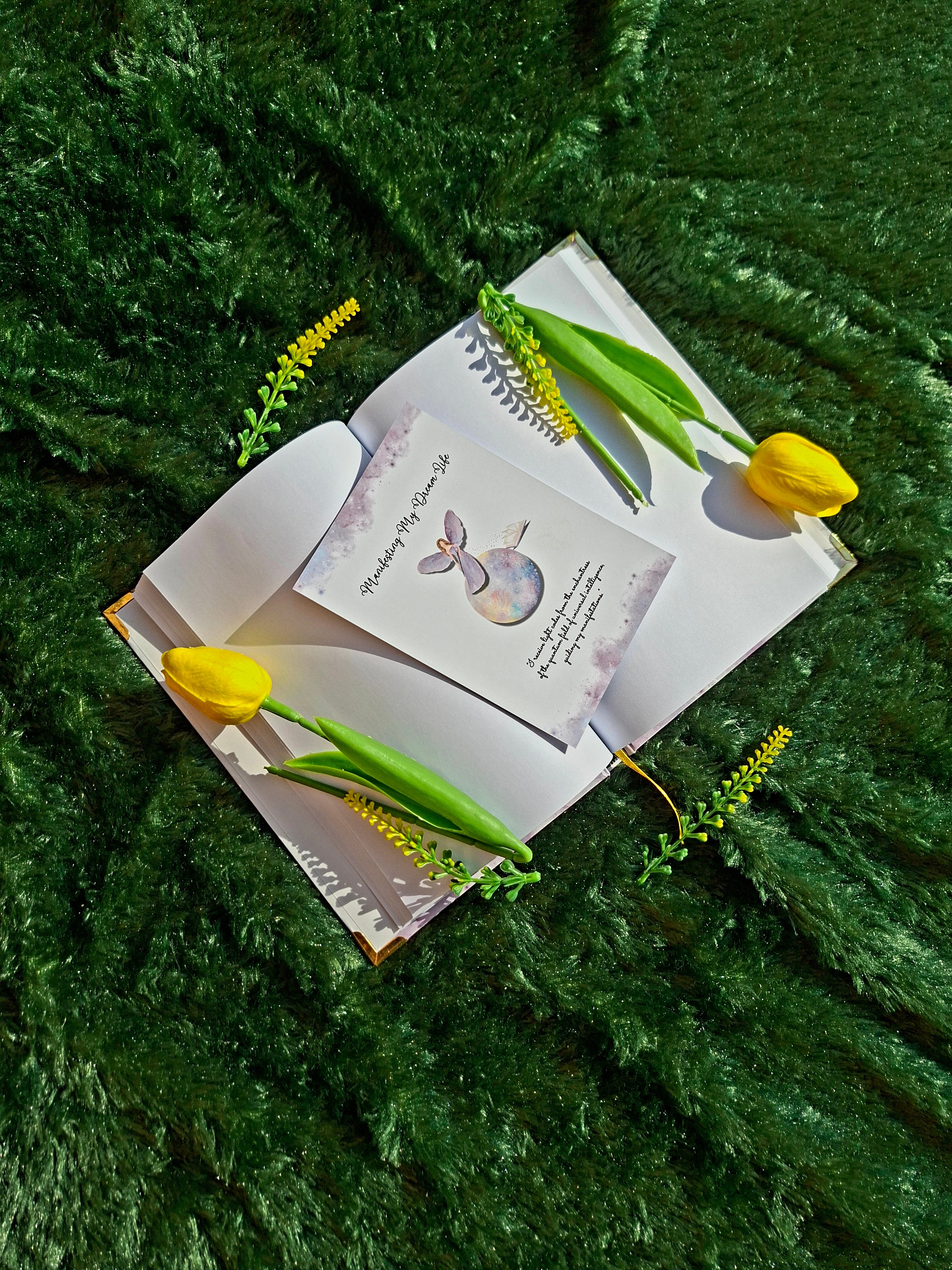 Manifesting My Dream Life- Executive Diary + Affirmation & Meditation Cards