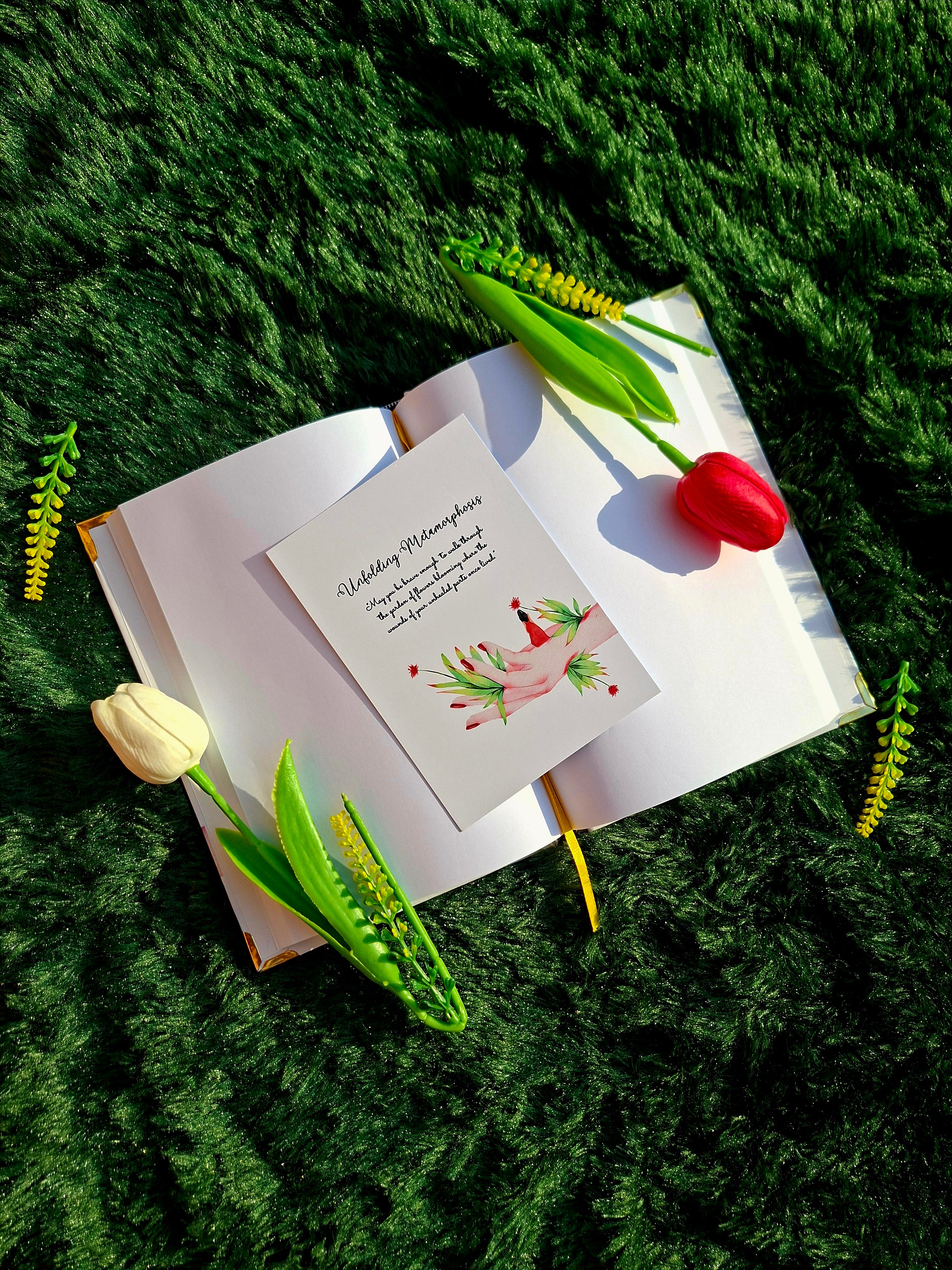 Unfolding Metamorphosis - Executive Diary + Affirmation & Meditation Cards