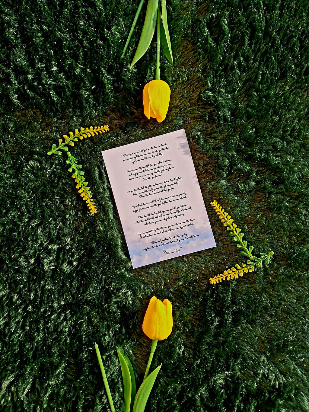 Stepping into an Elevated Timeline - Spiral Notebook + Affirmation & Meditation Cards